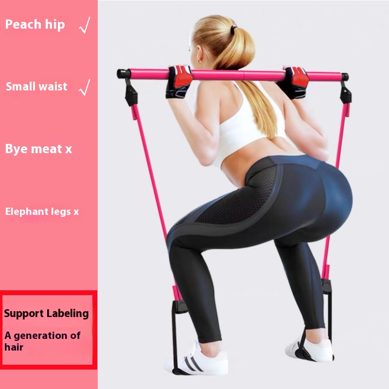 Pilates Stick - Adjustable Fit - Pilates Toning Ball 评论和价格